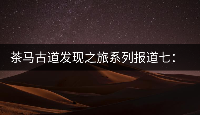 茶馬古道發(fā)現之旅系列報道七:漢藏血脈普洱路 茶馬古道發(fā)現之旅系列報道七:漢藏血脈普洱路