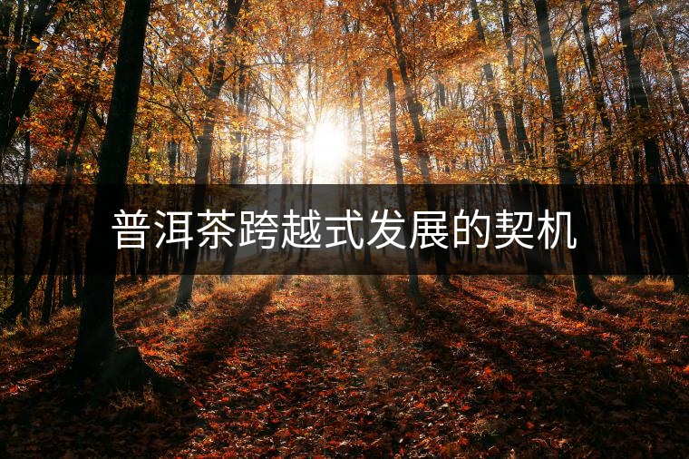 普洱茶跨越式發(fā)展的契機(jī)