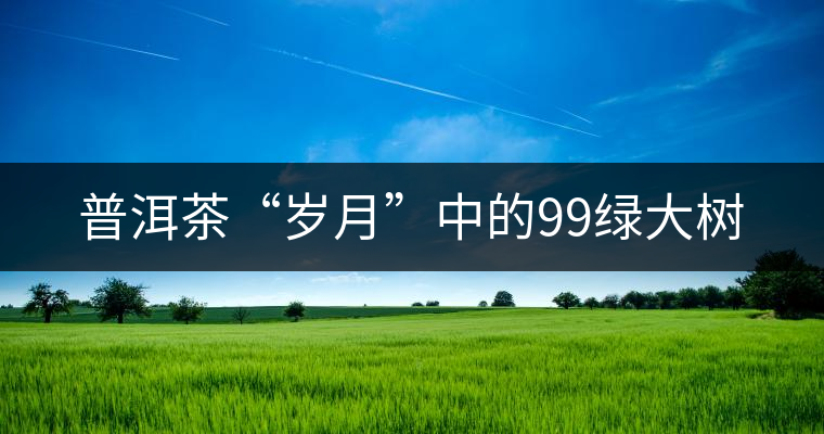 普洱茶“歲月”中的99綠大樹 普洱茶“歲月”中的99綠大樹