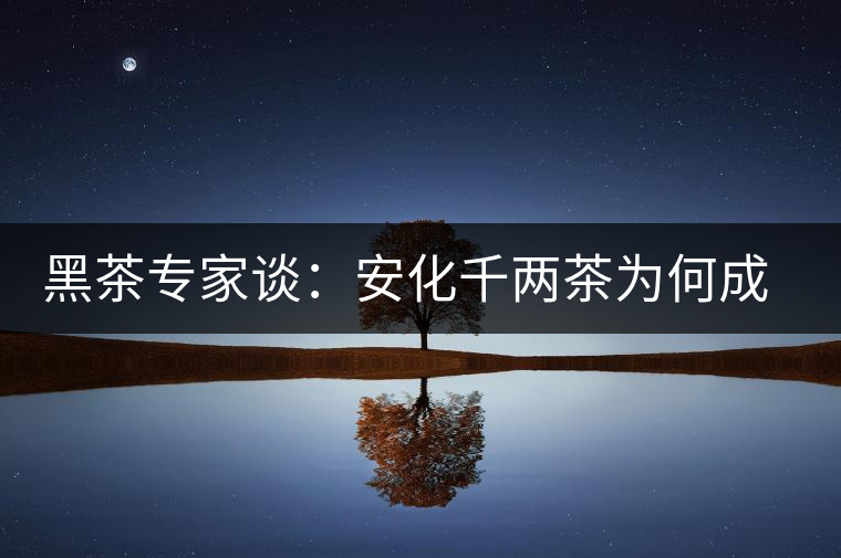 黑茶專家談：安化千兩茶為何成“世界茶王”？