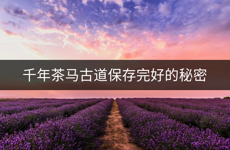 千年茶馬古道保存完好的秘密