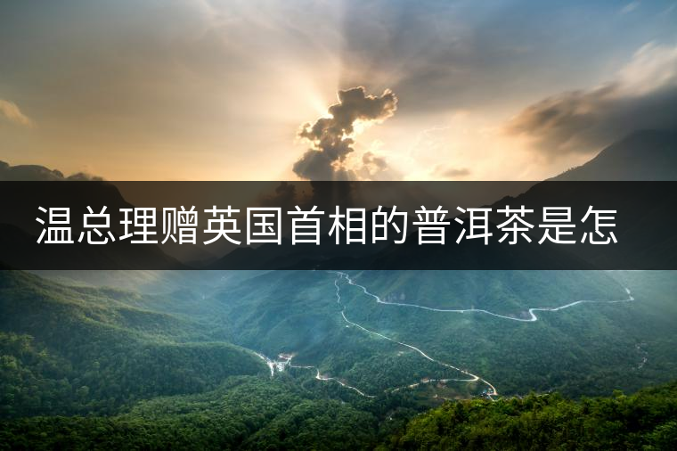 溫總理贈英國首相的普洱茶是怎么制作的？