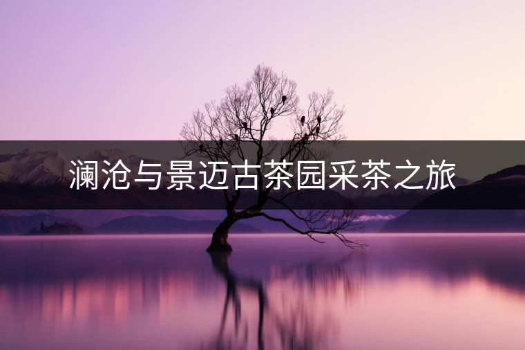 瀾滄與景邁古茶園采茶之旅 瀾滄與景邁古茶園采茶之旅