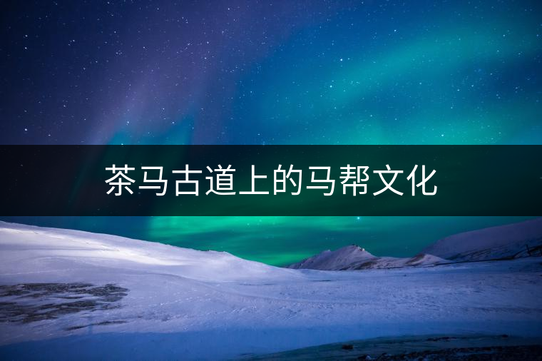 茶馬古道上的馬幫文化