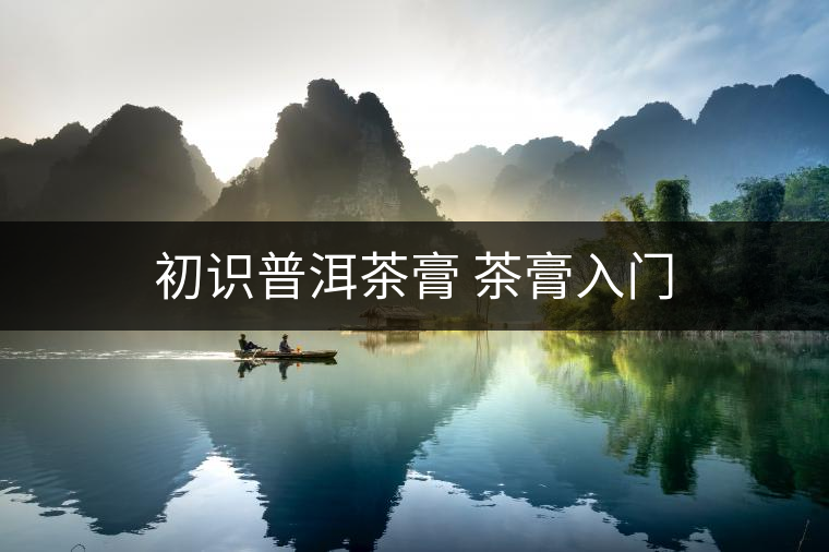 初識普洱茶膏 茶膏入門 初識普洱茶膏 茶膏入門