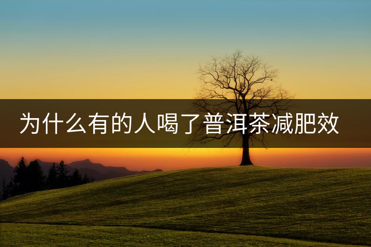 為什么有的人喝了普洱茶減肥效果不明顯呢？