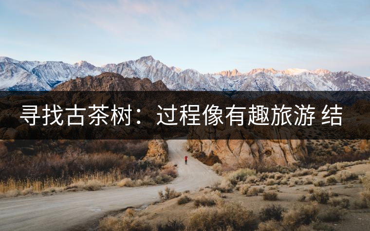 尋找古茶樹:過(guò)程像有趣旅游 結(jié)果是非凡的文化 尋找古茶樹:過(guò)程像有趣旅游 結(jié)果是非凡的文化