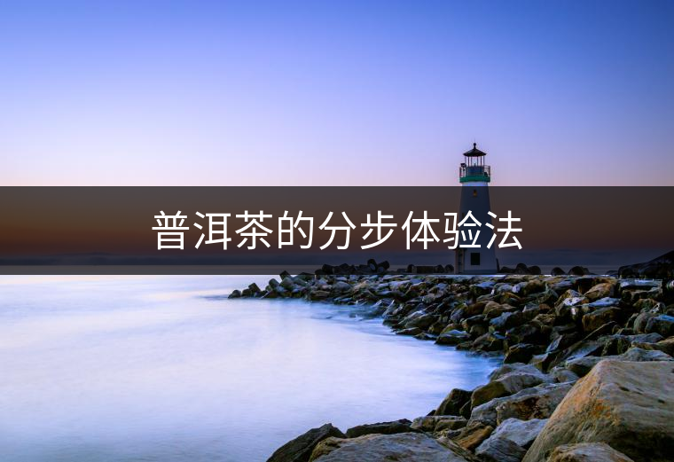 普洱茶的分步體驗法 普洱茶的分步體驗法