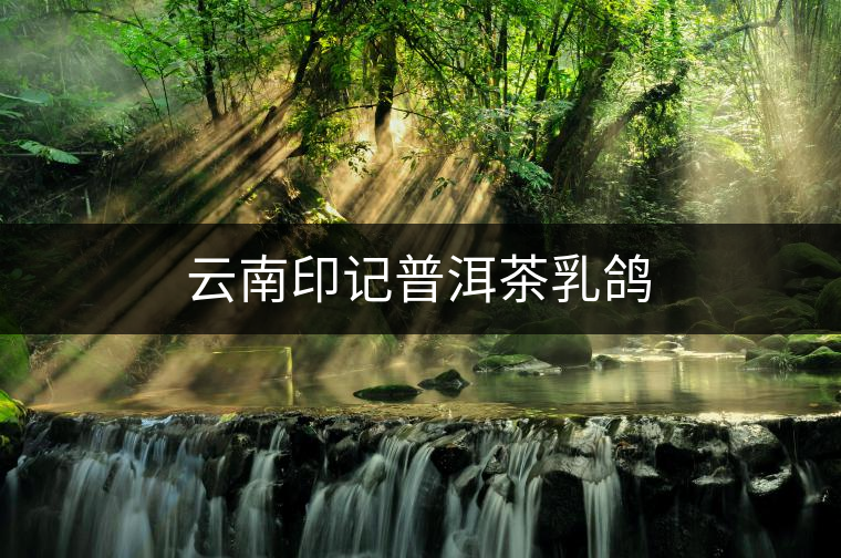云南印記普洱茶乳鴿 云南印記普洱茶乳鴿