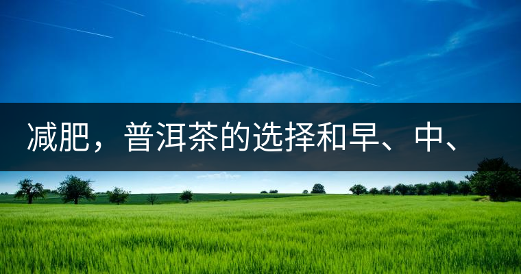 減肥，普洱茶的選擇和早、中、晚的喝法