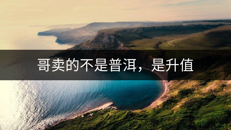 哥賣的不是普洱，是升值