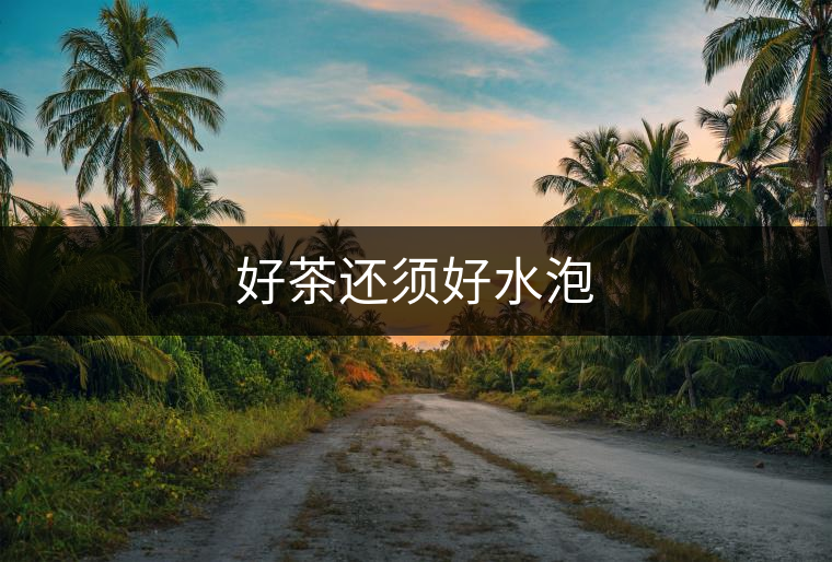 好茶還須好水泡 好茶還須好水泡