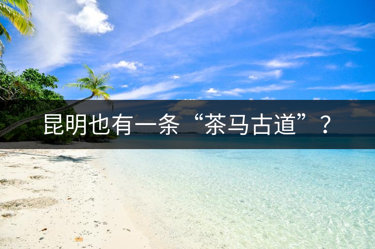 昆明也有一條“茶馬古道”？