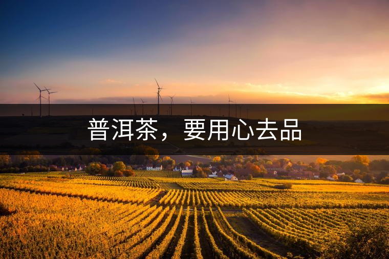 普洱茶，要用心去品