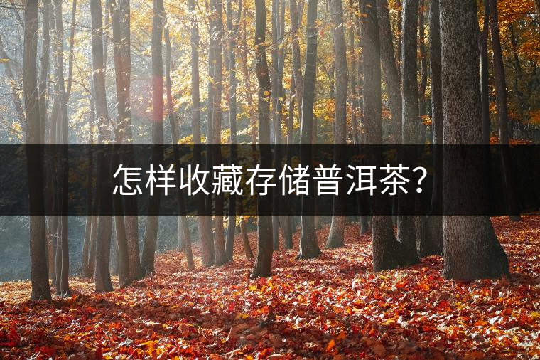 怎樣收藏存儲(chǔ)普洱茶？