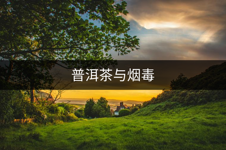 普洱茶與煙毒 普洱茶與煙毒