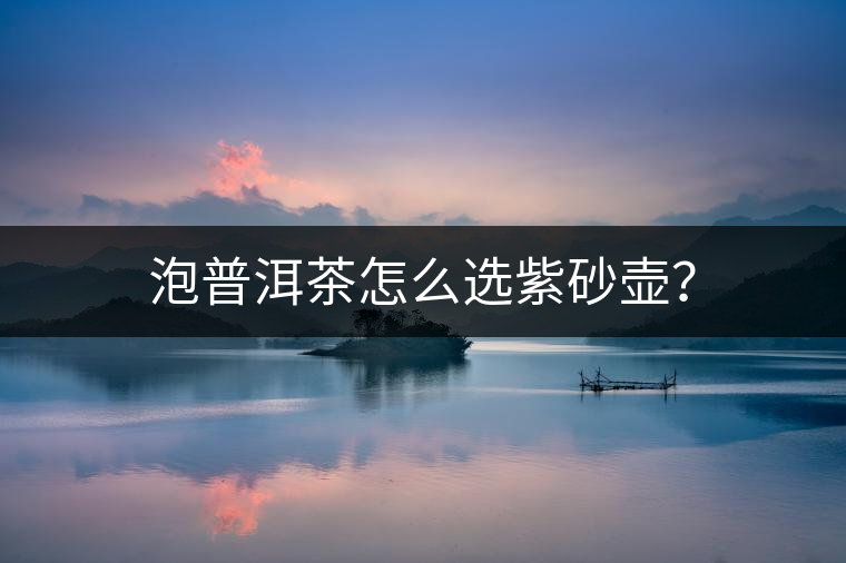 泡普洱茶怎么選紫砂壺？