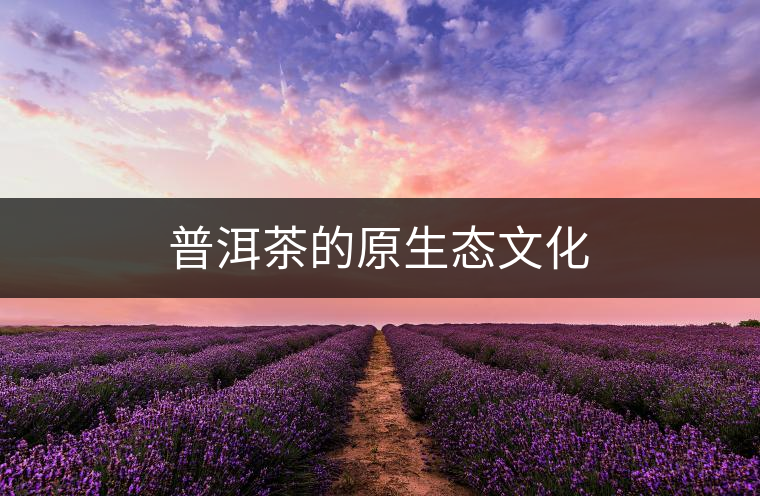 普洱茶的原生態(tài)文化