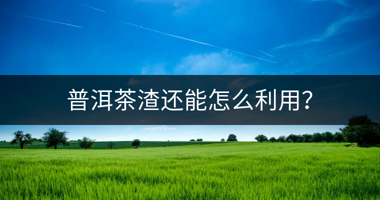 普洱茶渣還能怎么利用? 普洱茶渣還能怎么利用?