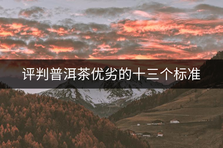 評(píng)判普洱茶優(yōu)劣的十三個(gè)標(biāo)準(zhǔn) 評(píng)判普洱茶優(yōu)劣的十三個(gè)標(biāo)準(zhǔn)