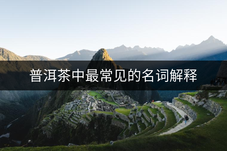 普洱茶中最常見(jiàn)的名詞解釋
