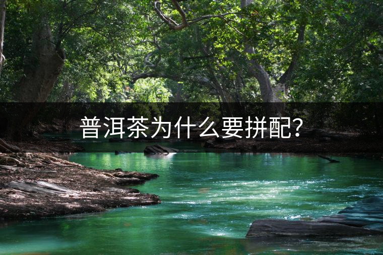 普洱茶為什么要拼配？