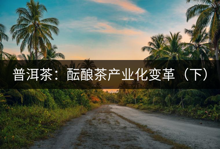 普洱茶:醞釀茶產業(yè)化變革(下) 普洱茶:醞釀茶產業(yè)化變革(下)