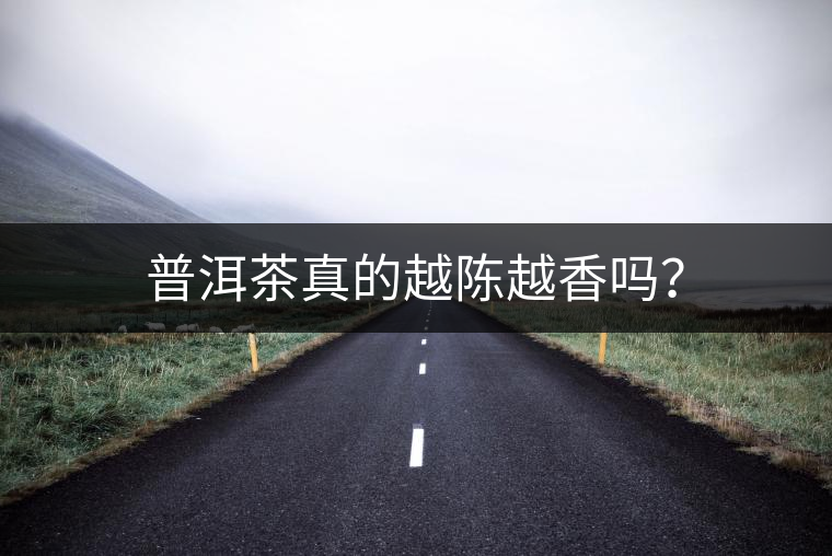 普洱茶真的越陳越香嗎？