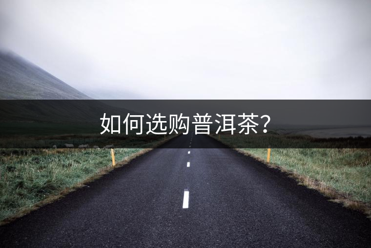 如何選購普洱茶？