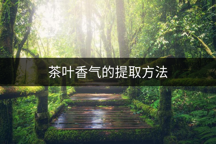 茶葉香氣的提取方法