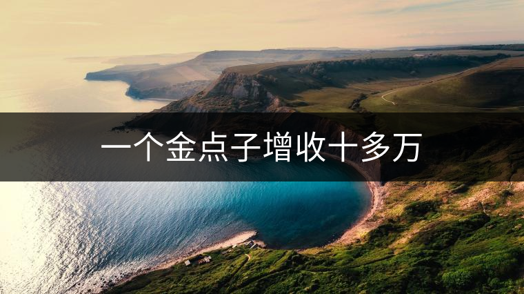 一個金點子增收十多萬 一個金點子增收十多萬