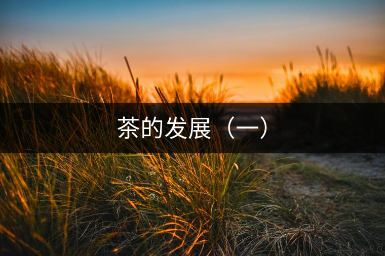 茶的發(fā)展（一）