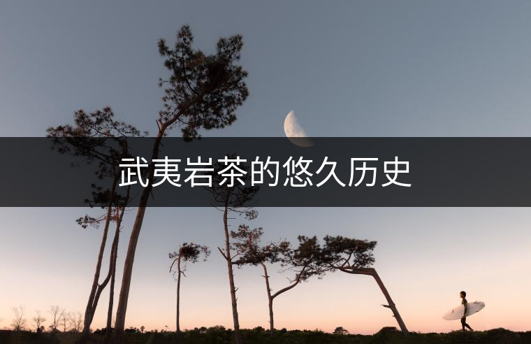 武夷巖茶的悠久歷史 武夷巖茶的悠久歷史