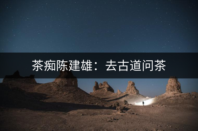 茶癡陳建雄:去古道問(wèn)茶 茶癡陳建雄:去古道問(wèn)茶