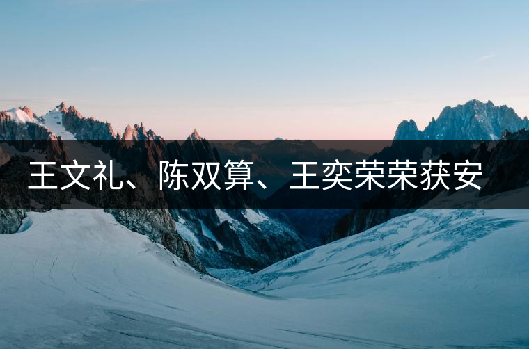 王文禮、陳雙算、王奕榮榮獲安溪茶界三杰