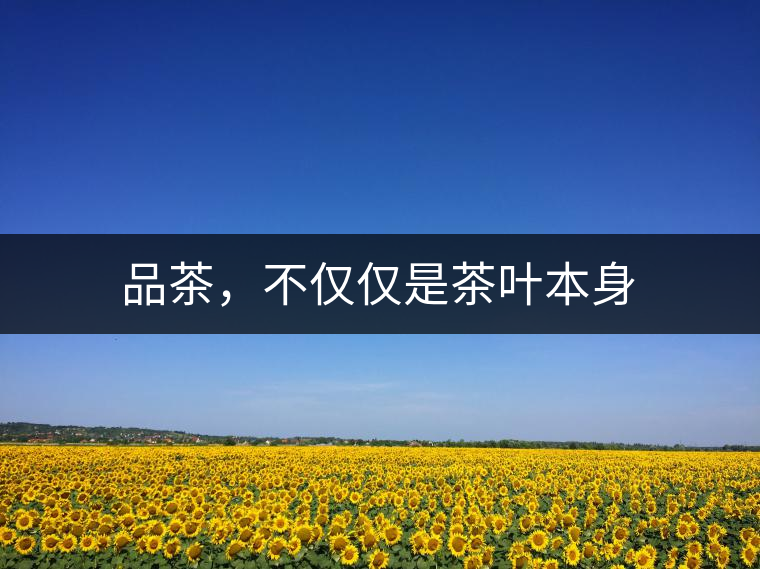 品茶，不僅僅是茶葉本身