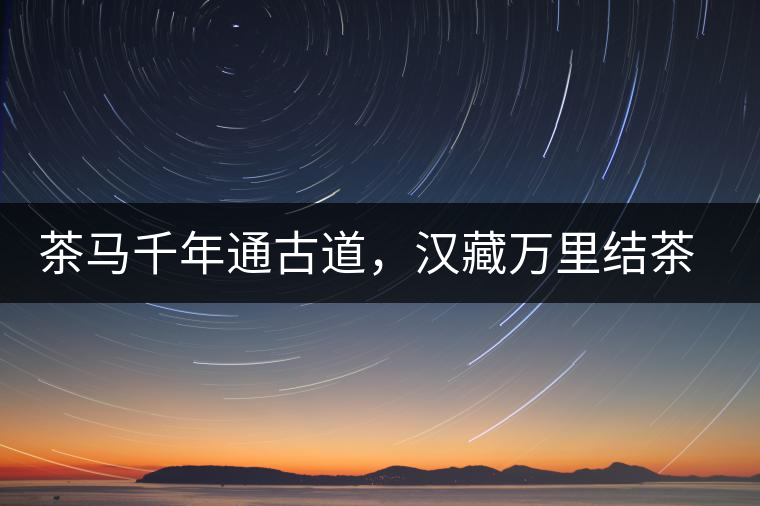 茶馬千年通古道，漢藏萬里結(jié)茶緣