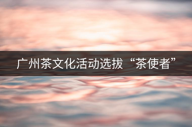 廣州茶文化活動選拔“茶使者”