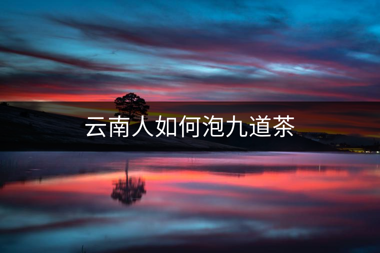 云南人如何泡九道茶