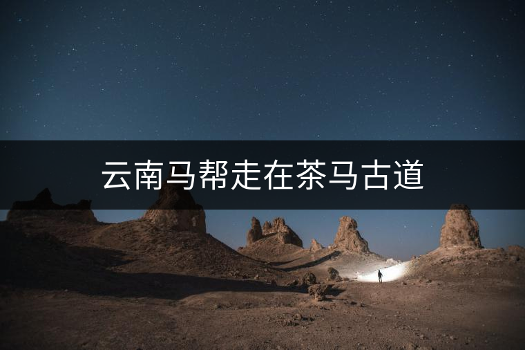云南馬幫走在茶馬古道 云南馬幫走在茶馬古道