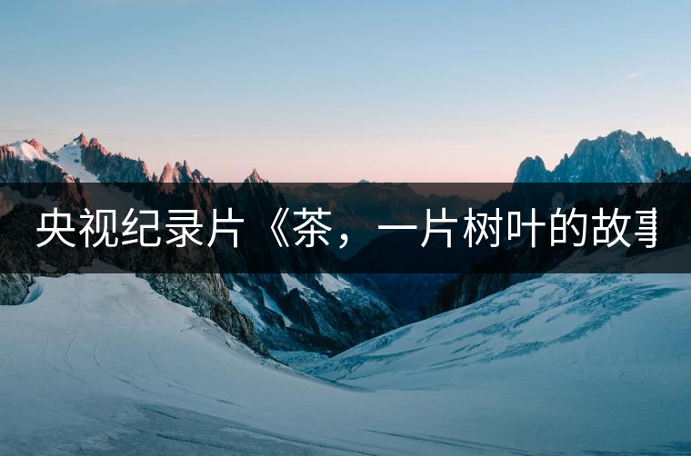 央視紀(jì)錄片《茶，一片樹(shù)葉的故事》紀(jì)錄片 昨晚開(kāi)播