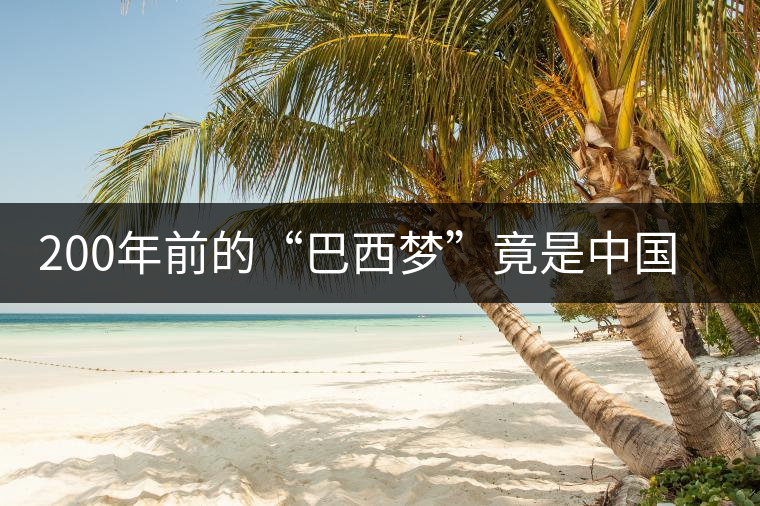 200年前的“巴西夢(mèng)”竟是中國茶 200年前的“巴西夢(mèng)”竟是中國茶