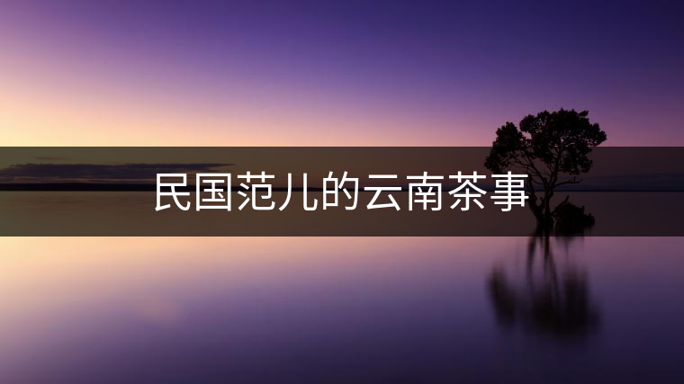 民國范兒的云南茶事