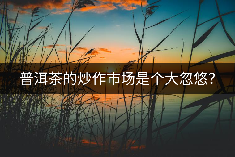 普洱茶的炒作市場是個大忽悠？