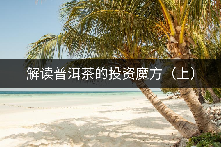 解讀普洱茶的投資魔方（上）