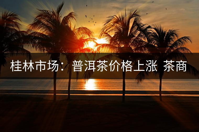 桂林市場:普洱茶價格上漲 茶商茶友不敢“出手” 桂林市場:普洱茶價格上漲 茶商茶友不敢“出手”