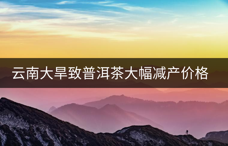 云南大旱致普洱茶大幅減產(chǎn)價格上揚(yáng)