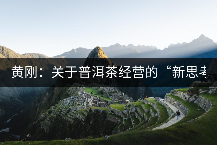 黃剛：關于普洱茶經營的“新思考與新方法”（2014上/合集）