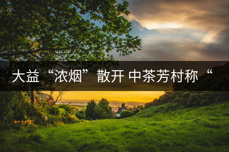 大益“濃煙”散開 中茶芳村稱“王”？