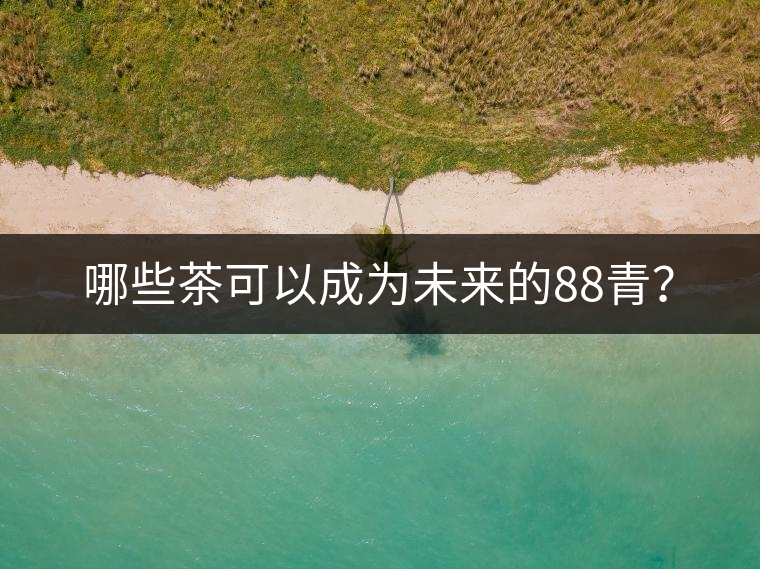 哪些茶可以成為未來的88青？